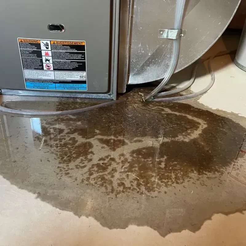 Appliance Leak Cleanup in Grand Bay, AL